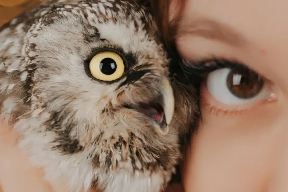 Casino AllStar Slots Tacaíocht